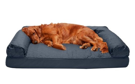 Panier pour chien: les différents types de formes