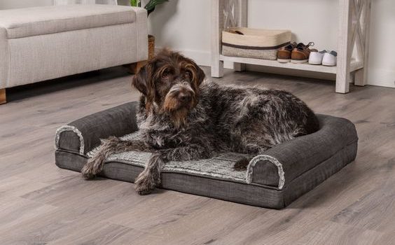 Panier pour chien: les options de rangement intégrées