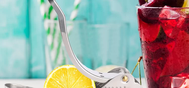 How Can You Maximize the Use of a Lime Juicer?