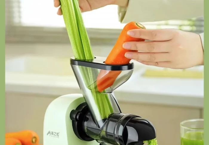 How to Use a Juicer: What Are the Best Practices?