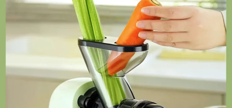 How to Use a Juicer: What Are the Best Practices?