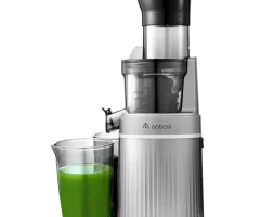 Breville Juicer Recipes: What Are the Best Ones?