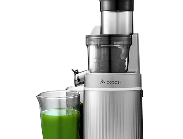 Breville Juicer Recipes: What Are the Best Ones?