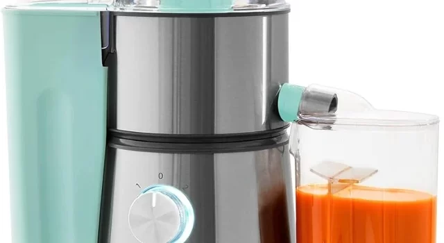 Masticating vs. Centrifugal Juicer: Which Is Better for Your?