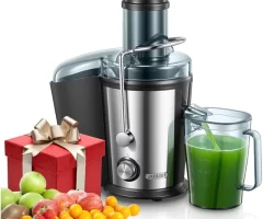 Centrifugal Juicer Meaning: What Makes It Special?