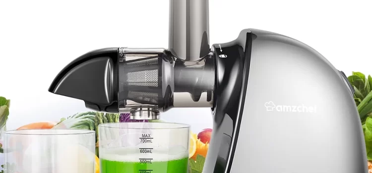 Amzchef Juicer Review: Budget-Friendly Juice Extraction