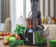 Masticating Juicer 101: The Beginner’s Essential Guide