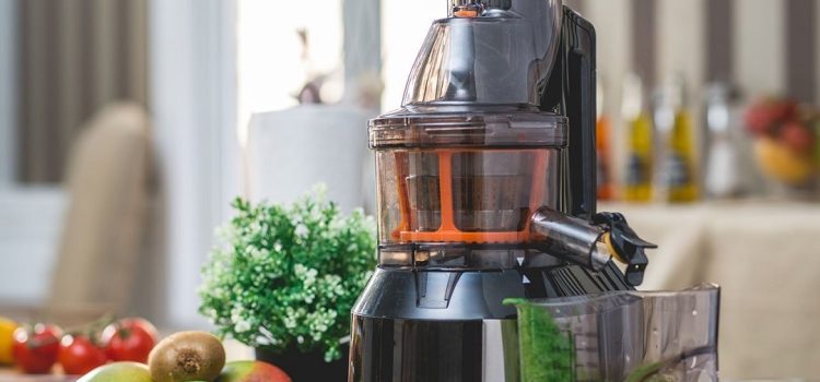 Masticating Juicer 101: The Beginner’s Essential Guide