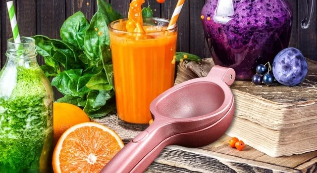 Juicer Recipes for Gut Health: A Delicious Journey