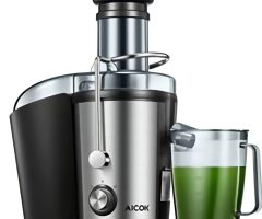 Mastering Your Breville Juicer: Step-by-Step Guide