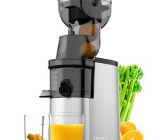 Difference Between Juicer and Cold Press