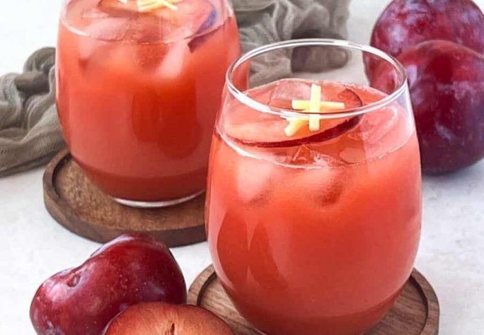 Fresh Plum Juicer Blends for a Healthy Start