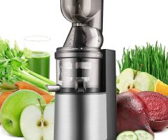 What Does Masticating Juicer Mean?