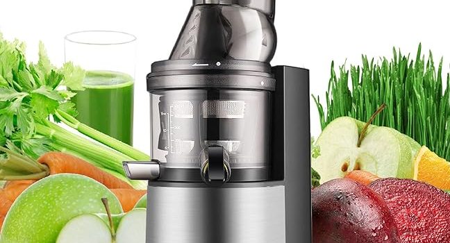 What Does Masticating Juicer Mean?