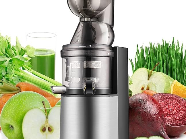 What Does Masticating Juicer Mean?