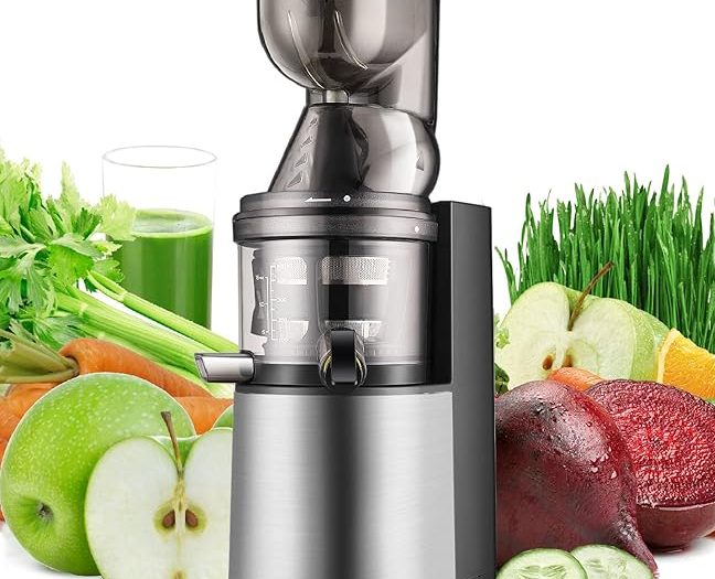 masticating juicer