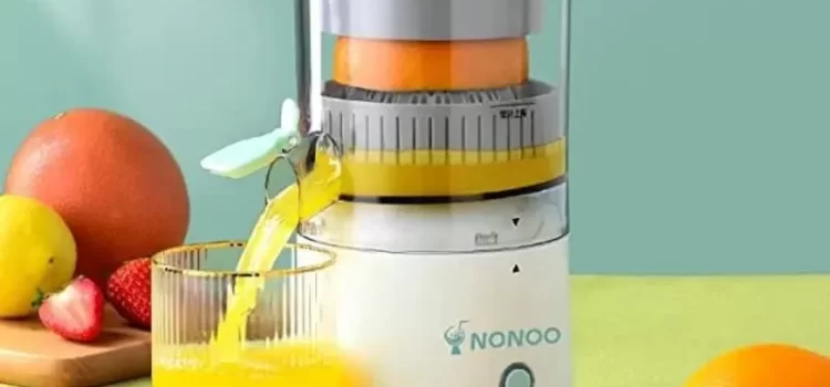 Introducing the nonoo Juicer: A Comprehensive Guide