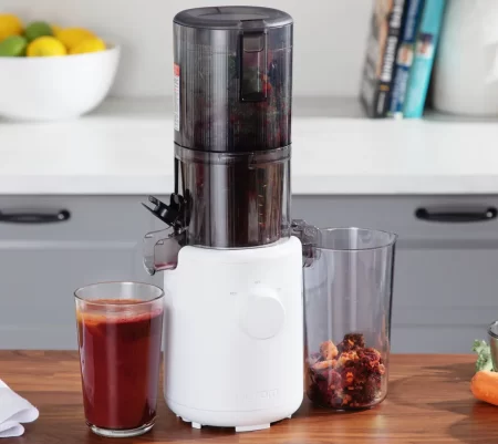 Slow Juicer vs Fast Juicer: A Comprehensive Guideline