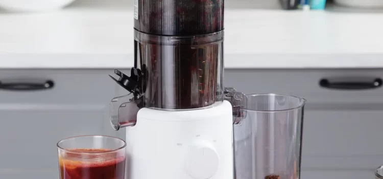 Slow Juicer vs Fast Juicer: A Comprehensive Guideline