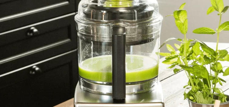 Food Processor vs Juicer: What’s Best for Your Kitchen?