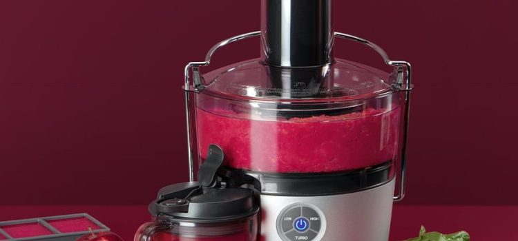 Juicer vs Blender: Key Differences Explained