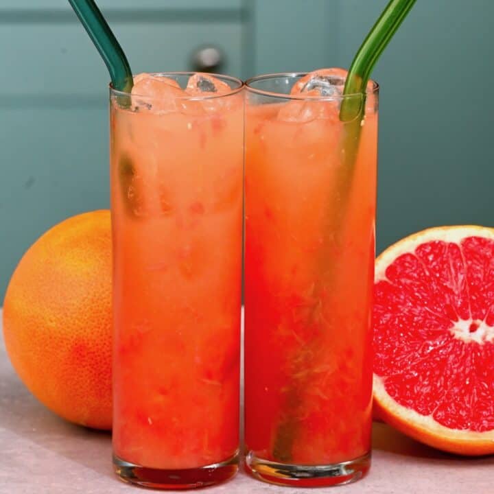 grapefruit juicer recipe