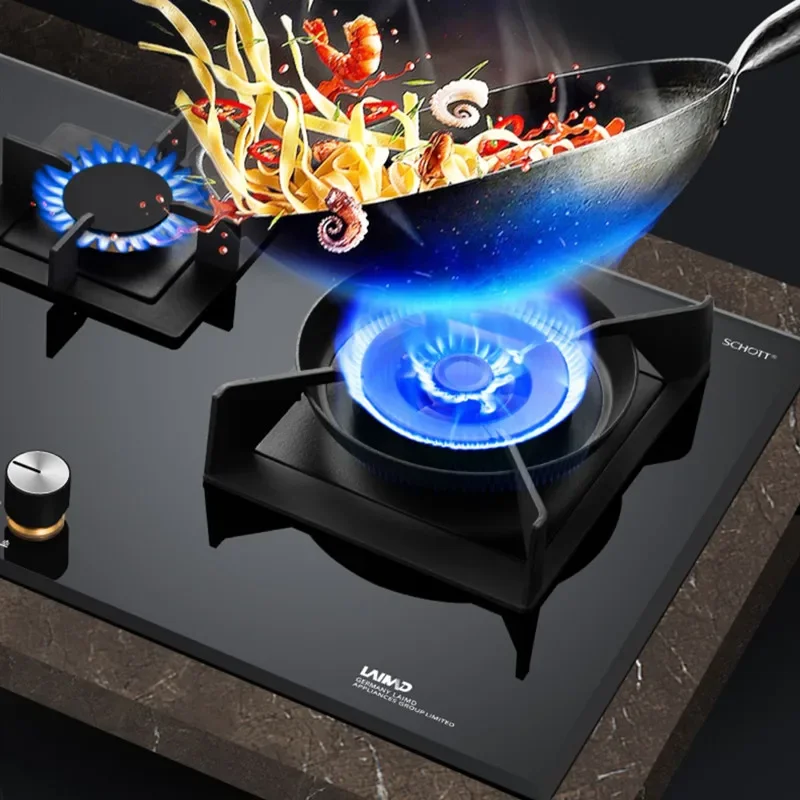 electric gas stove