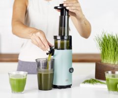 Cold Press vs Regular Juicer: Making the Best Choice